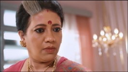 Saru - 3rd February 2026